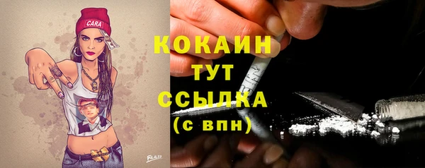 соль ск Новодвинск
